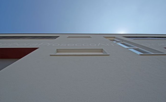 SONY DSC